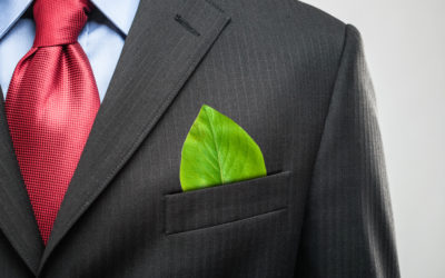 Actions écologiques dans notre entreprise.