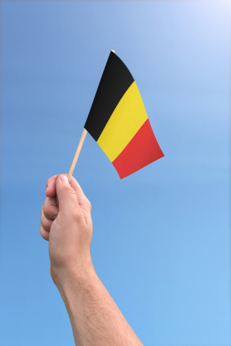 L’impact de la culture belge sur les préférences d’achat